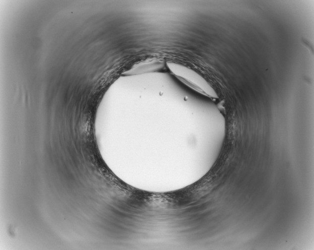 X0000100210608200806271706