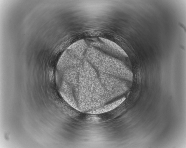 X0000100210610200806271706