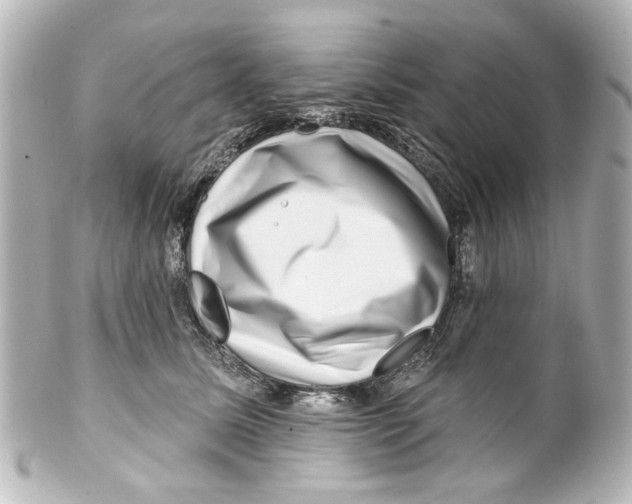 X0000100210611200806271706