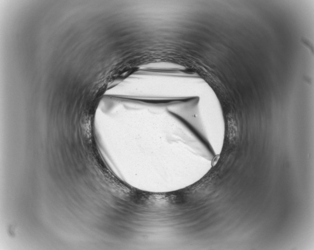 X0000100210613200806271706