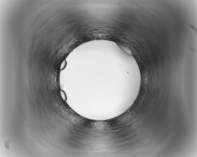 X0000100210615200806271706
