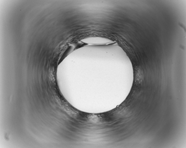X0000100210616200806271706