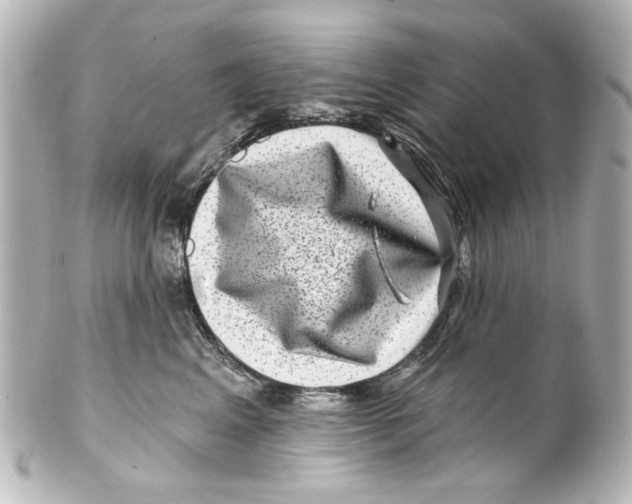 X0000100210617200806271706