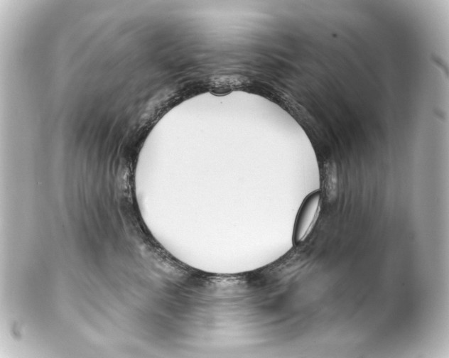 X0000100210619200806271706