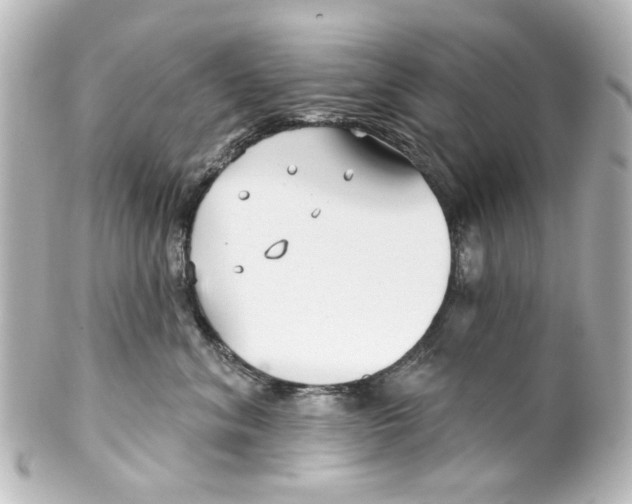 X0000100210620200806271706