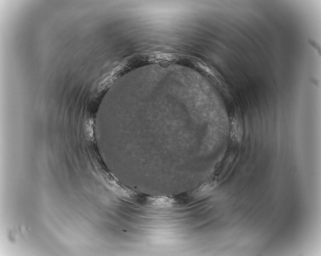 X0000100210621200806271705
