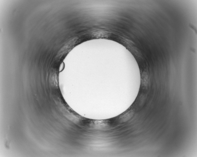 X0000100210622200806271705