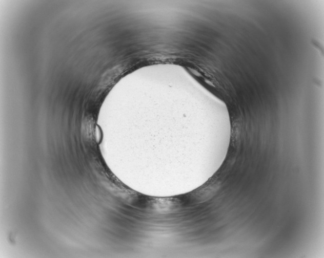 X0000100210623200806271705