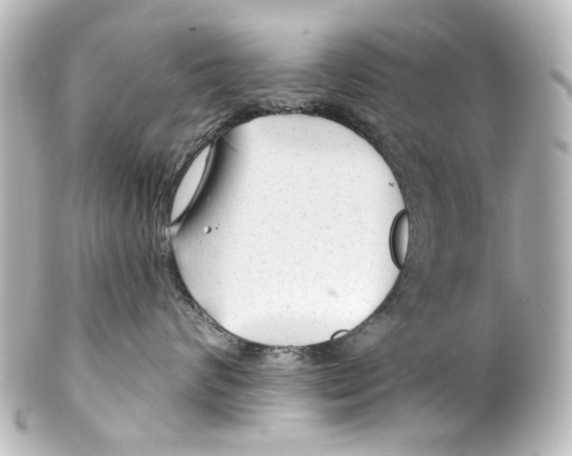 X0000100210624200806271705