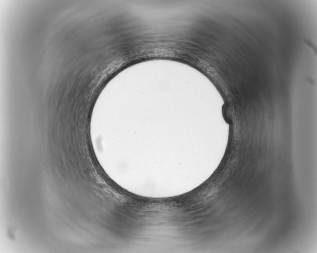 X0000100210625200806271705