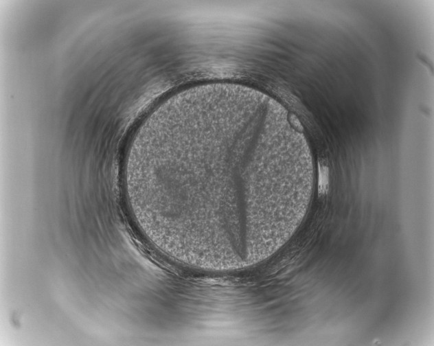 X0000100210627200806271705