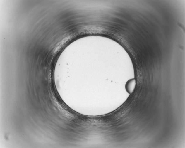 X0000100210629200806271705