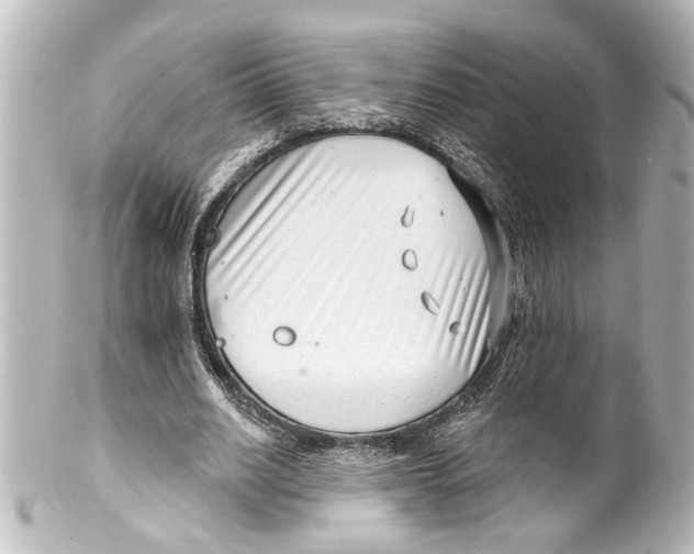 X0000100210630200806271705