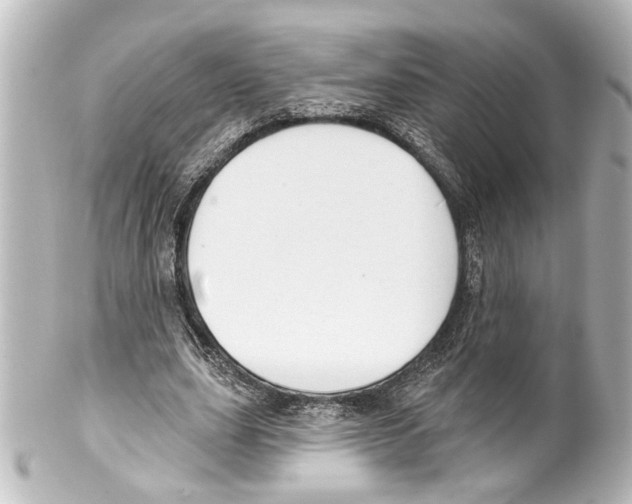 X0000100210631200806271705