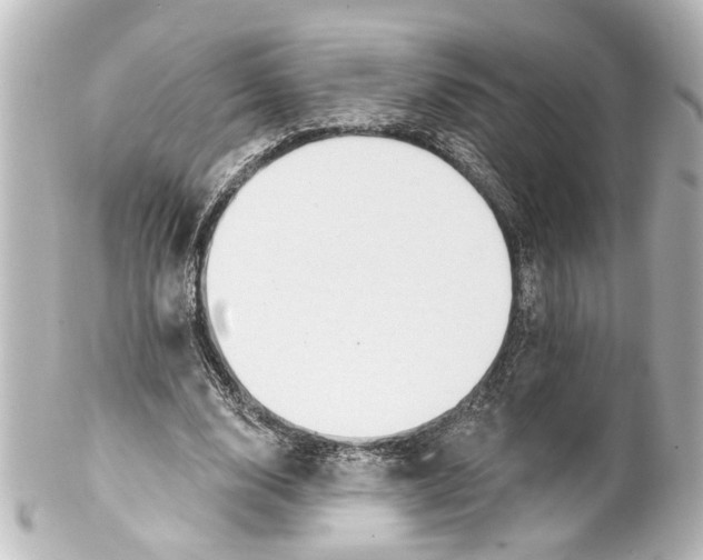 X0000100210632200806271705