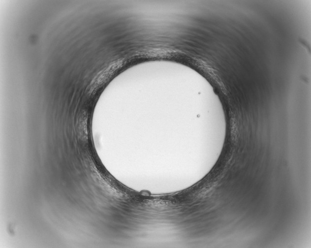 X0000100210633200806271705