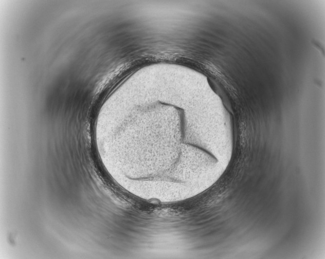 X0000100210634200806271705