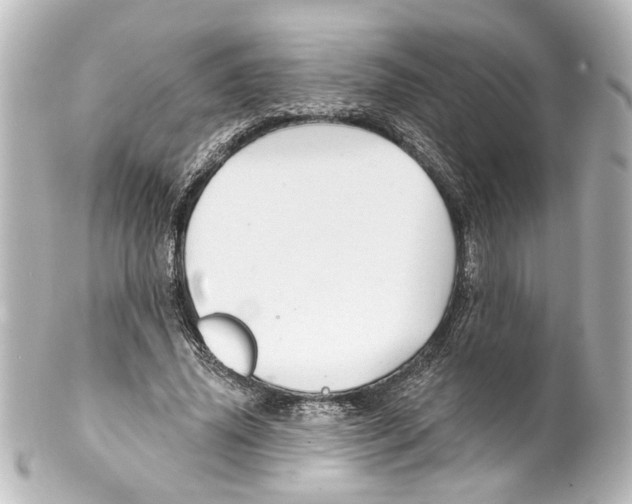 X0000100210636200806271705