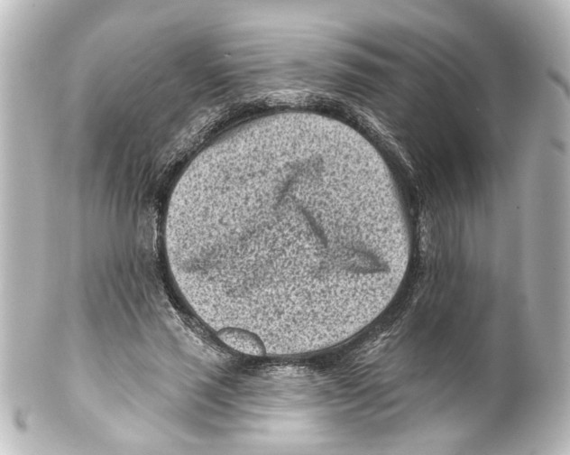 X0000100210637200806271705