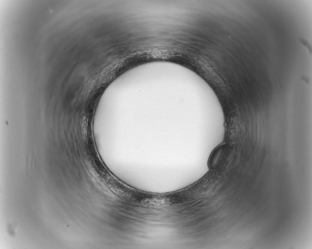 X0000100210639200806271705