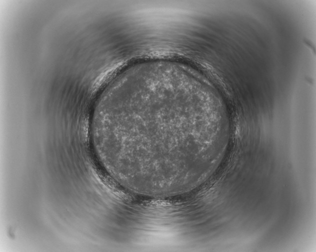 X0000100210640200806271705