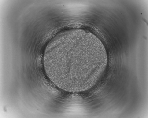 X0000100210641200806271705