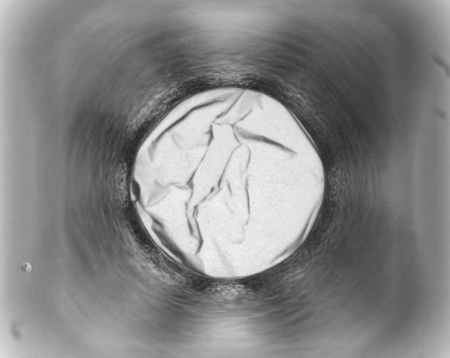X0000100210642200806271705