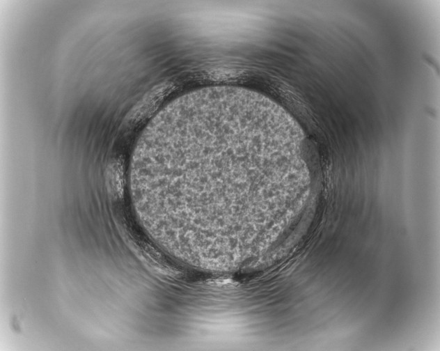 X0000100210644200806271705
