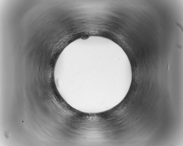X0000100210645200806271705