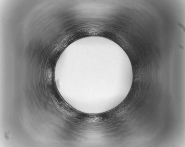 X0000100210646200806271705