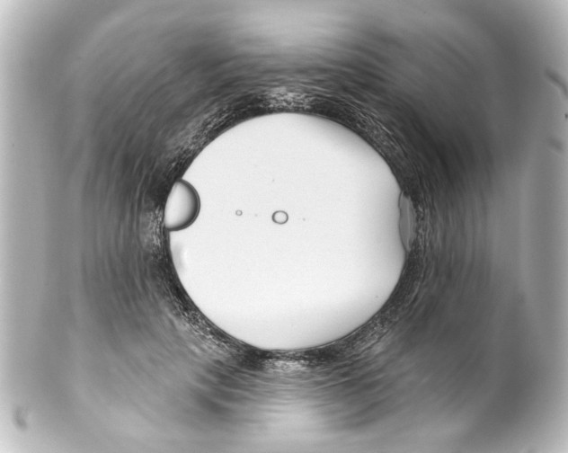 X0000100210649200806271705