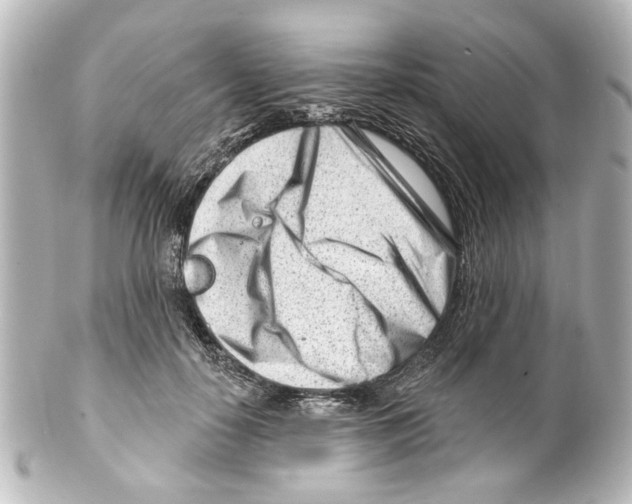 X0000100210650200806271705