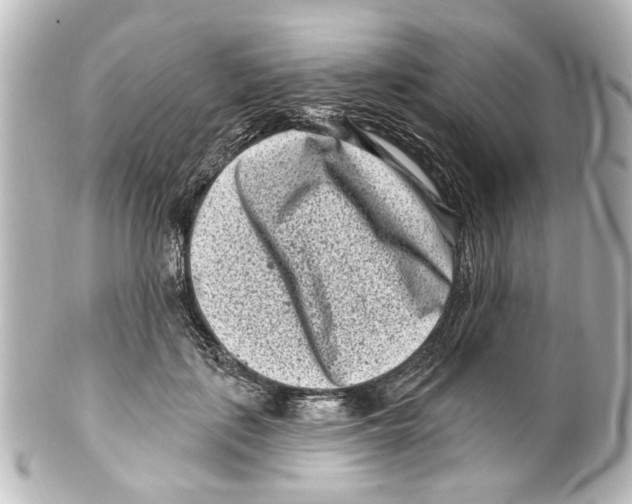 X0000100210651200806271705