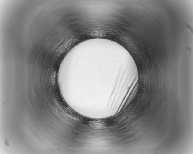 X0000100210652200806271705