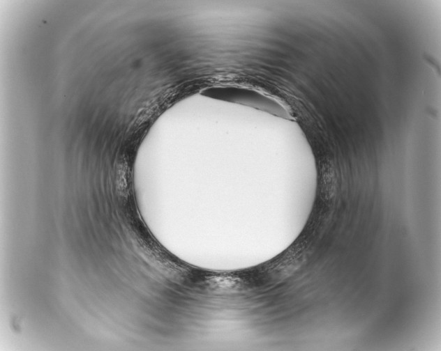 X0000100210654200806271705