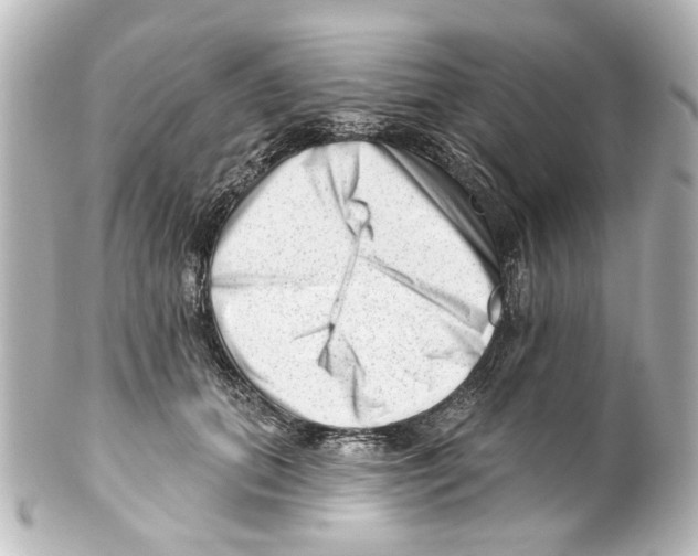 X0000100210655200806271705