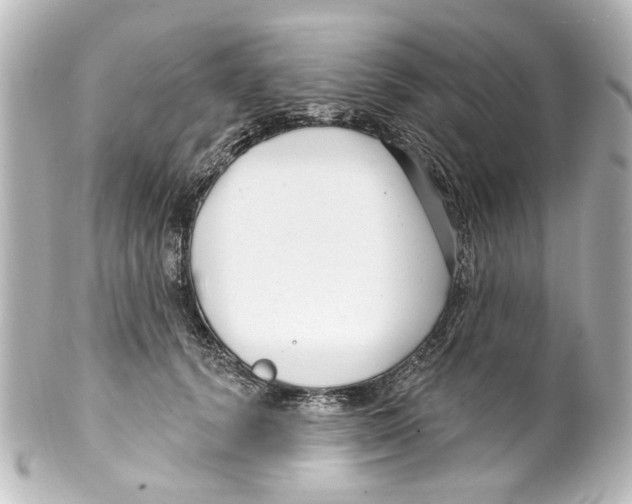 X0000100210656200806271705