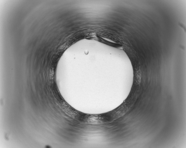 X0000100210657200806271705