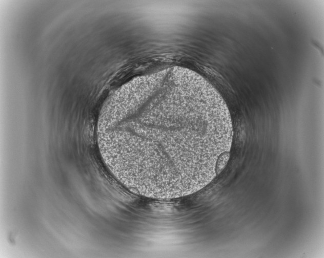 X0000100210661200806271705
