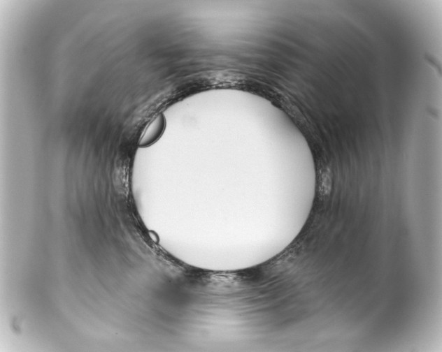 X0000100210666200806271705