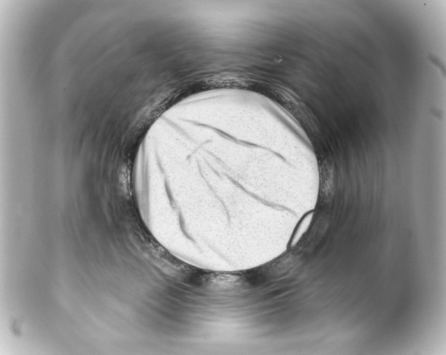 X0000100210669200806271705