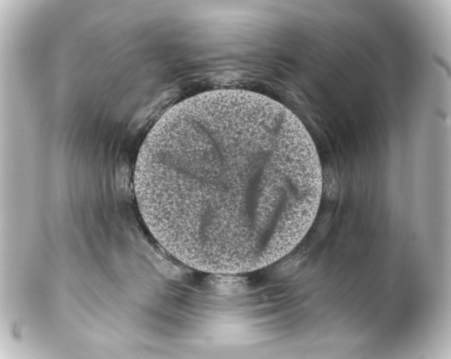 X0000100210670200806271705