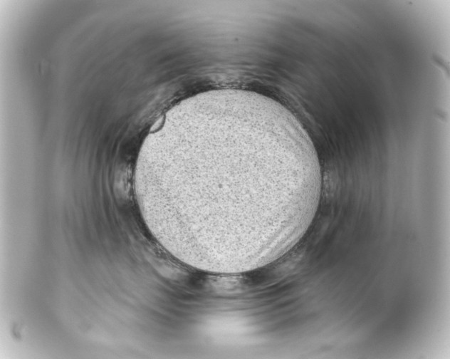 X0000100210671200806271705