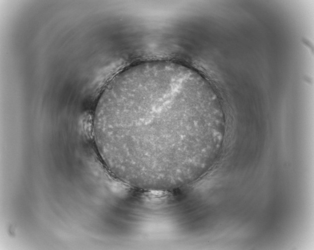 X0000100210672200806271705