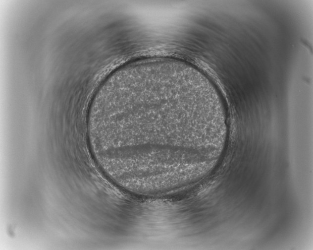X0000100210673200806271705