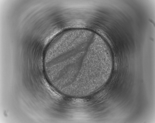 X0000100210677200806271705