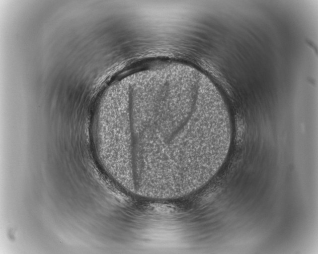 X0000100210681200806271704