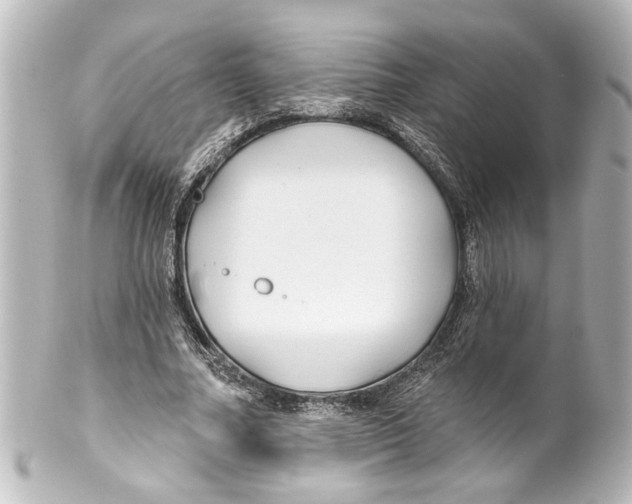 X0000100210682200806271704