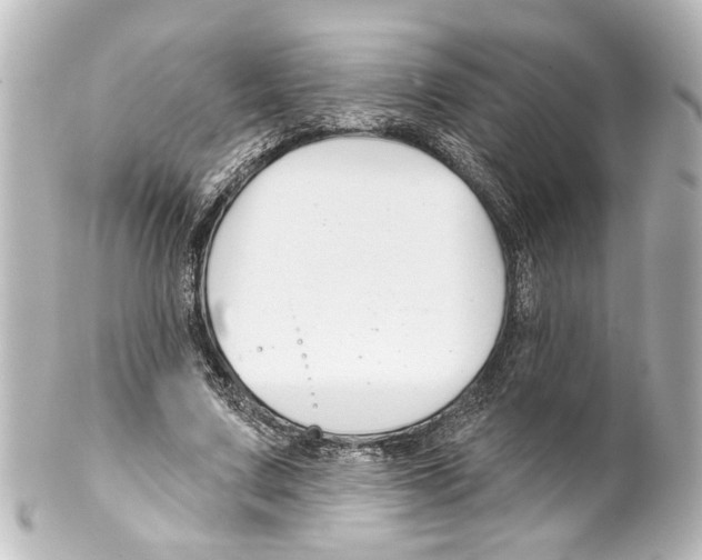 X0000100210683200806271704