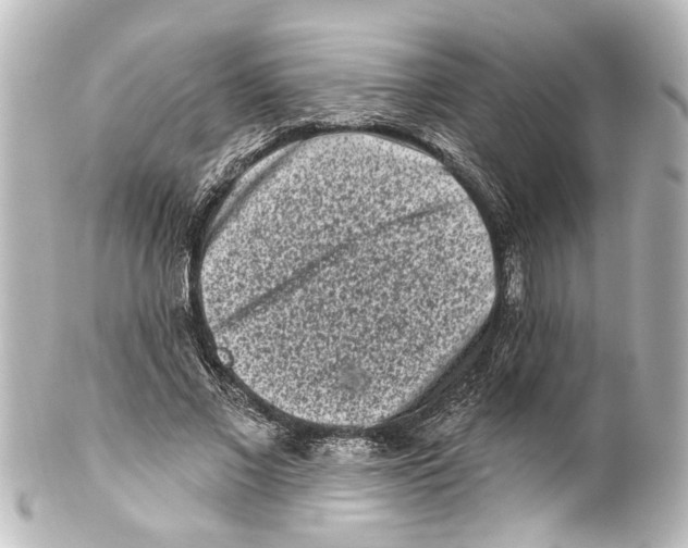 X0000100210685200806271704